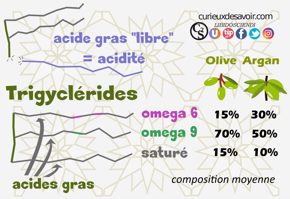 acidite huile