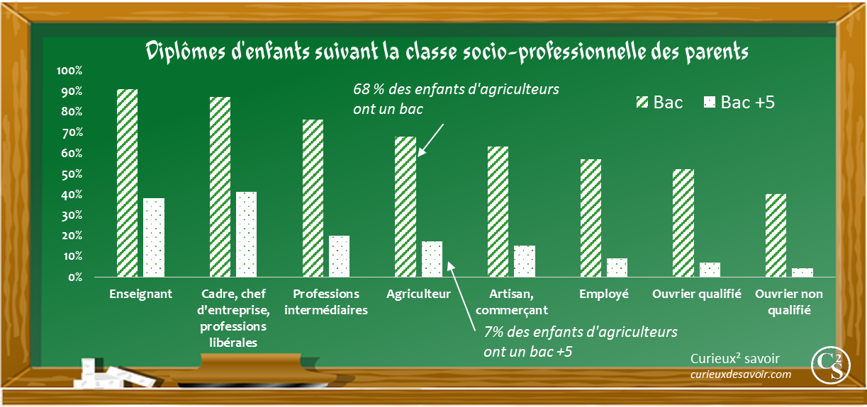 diplome_niveau_social.png