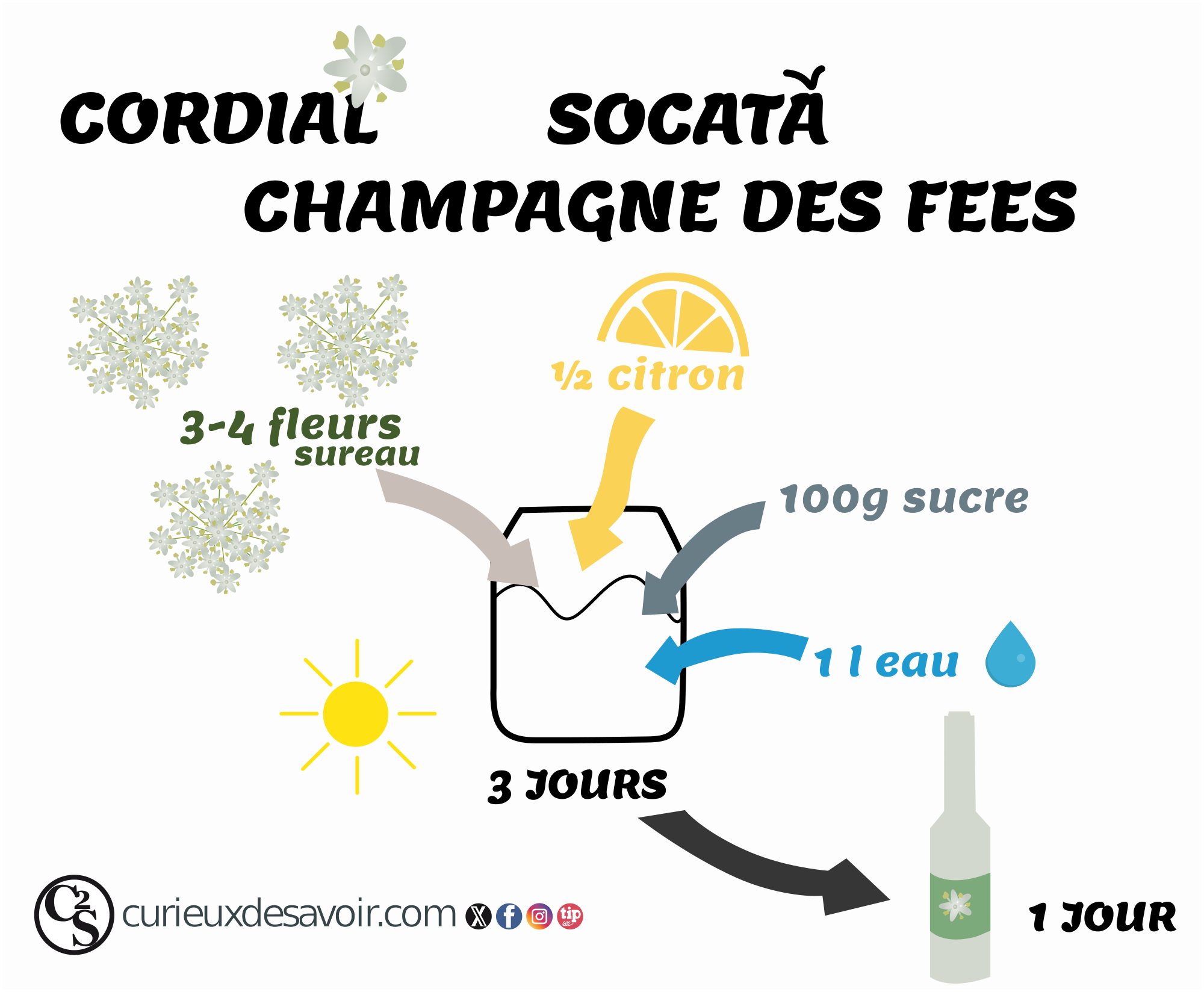 recette de champagne des fée